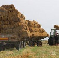 Издирват вандали, съсипали 1000 бали слама