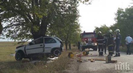 трагедия жена загина удар дърво снимки