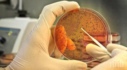 причина смъртта британските туристи египет ешерихия коли