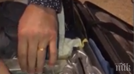 шаш откриха живи змии куфара пътник летището видео