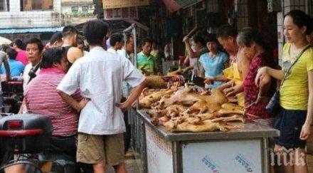 крути мерки властите ханой призоваха жителите ядат кучешко месо