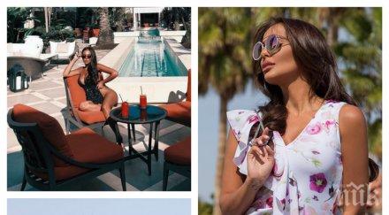 страшна карикатура николета калъп прасета свинския рай бахамите потресаващи снимки