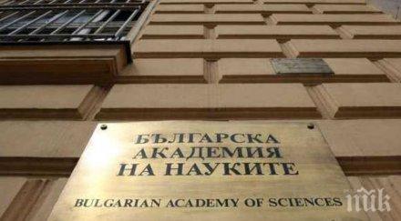 управителният съвет бан решава оглави временно нимх