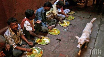 тъжна статистика броят гладуващите света увеличава