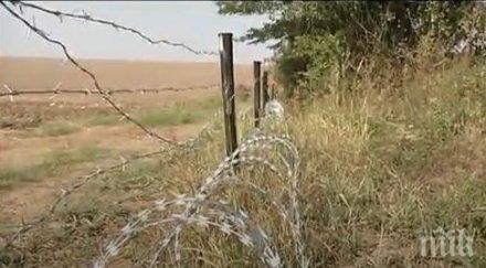 оградата дивите свине изградена завишени цени