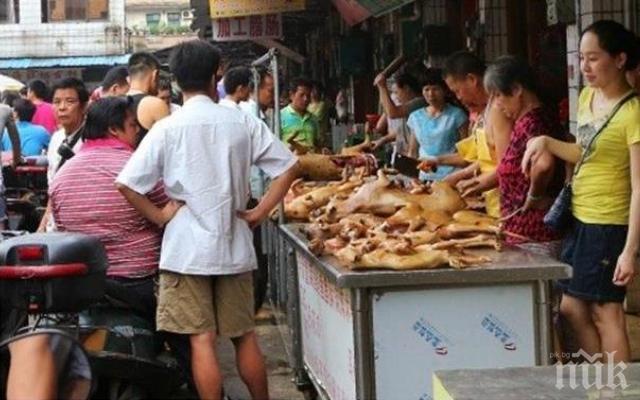 КРУТИ МЕРКИ: Властите в Ханой призоваха жителите да не ядат кучешко месо
