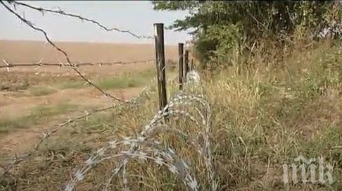 Оградата срещу дивите свине изградена на завишени цени?