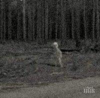 МИСТЕРИЯ! Старец снимал извънземни край езеро! Уфолози гадаят дали пришълецът не е от паралелен свят