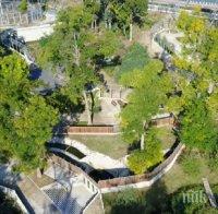 Кметът на Пловдив ядосан: Саботират ни за зоопарка, повече не мога да търпя