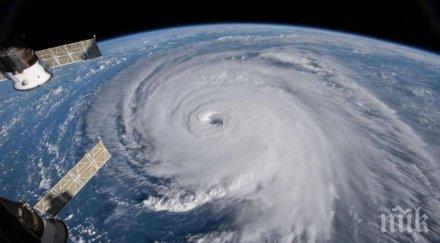 пет станаха жертви урагана флорънс северна южна каролина