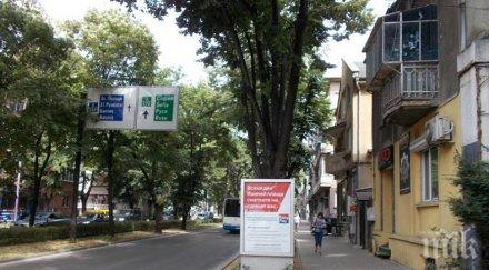 мерки безразсъдните пешеходци варна опасват разделителни мантинели два булеварда