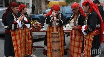 българска хубост напират титлата мис родопи кралица киселото мляко