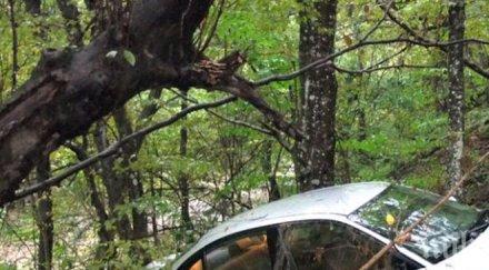 служебна кола полетя река марица сблъсък снимки