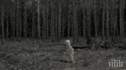 мистерия старец снимал извънземни езеро уфолози гадаят дали пришълецът паралелен свят