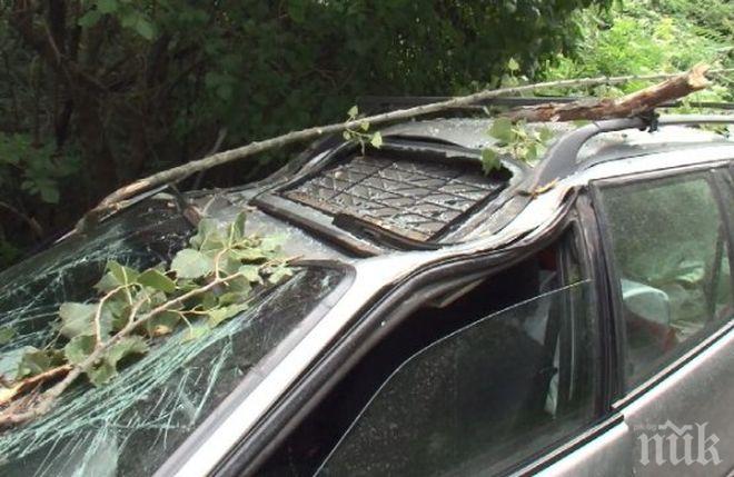 ТРАГЕДИЯ КРАЙ РУЕН! 18-годишно момиче загина след челен удар в топола