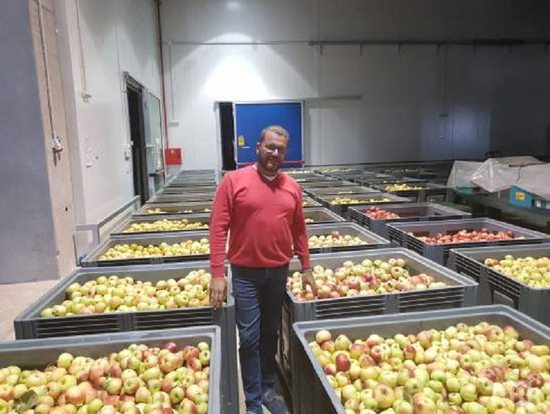 Даряват биоябълки на социалните заведения в Община Пловдив