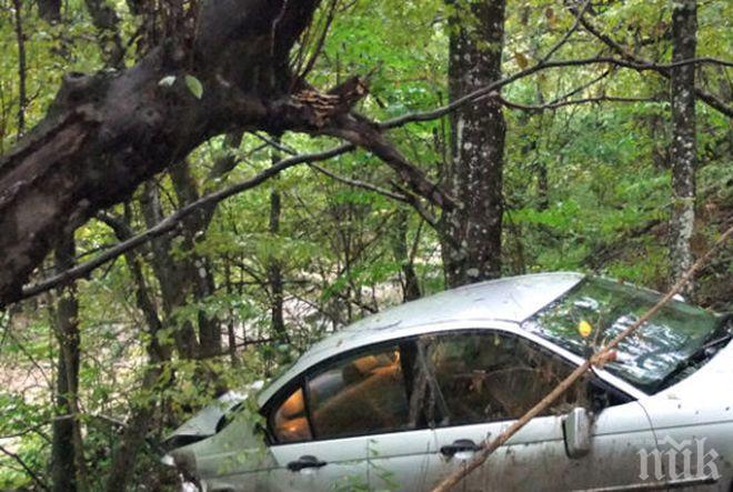 Служебна кола полетя в река Марица след сблъсък (СНИМКИ)