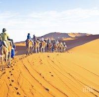 НОВО 20! Тръмп предлага да се издигне стена през Сахара срещу мигрантите 