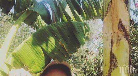 силиконката виктория петрова корекции джуките вижте ближе снимки