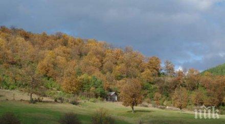 шокиращо родопчанка тръгна търси кравата откри разложен труп