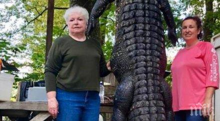 бойна баба кметица застреля алигатор изял понито видео