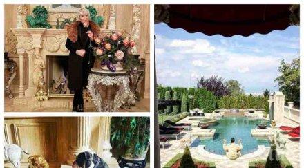 социалистически вип ветко маринела арабаджиеви живеят замъка цола драгойчева