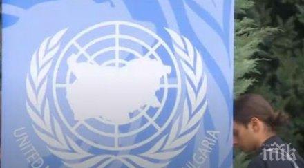 празнуваме деня мира