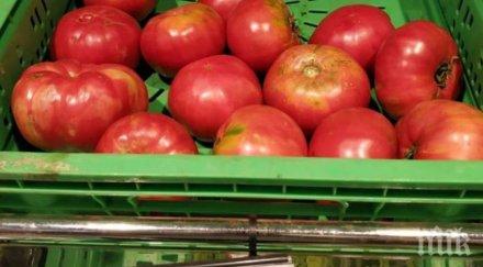 кило домати удариха лева кюстендилско