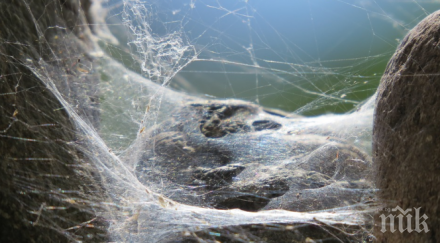 300 метра паяжини покриха плаж гърция видео