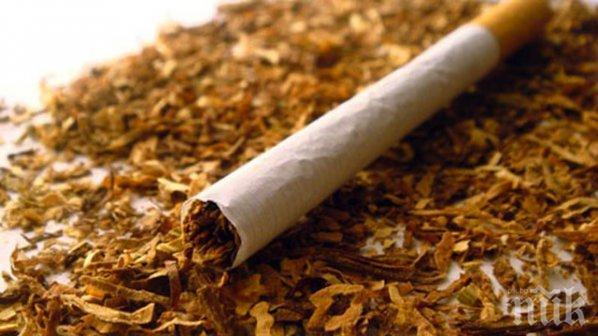 Мъж отнесе акт заради кутия с цигари без бандерол във Врачанско

 