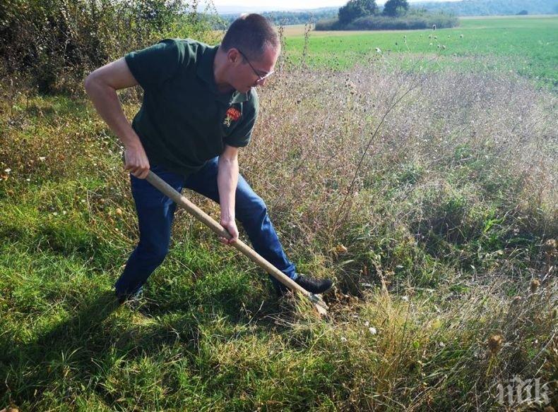 Джамбазки хвана мотиката