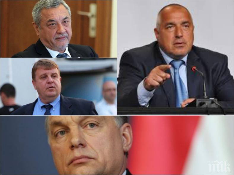 ПЪРВО В ПИК TV! Правителството има решение за казуса с Орбан - коалицията е обединена около подкрепата на Унгария (ОБНОВЕНА)