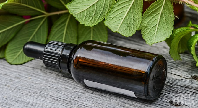 Ако имате косопад - масло от сандалово дърво