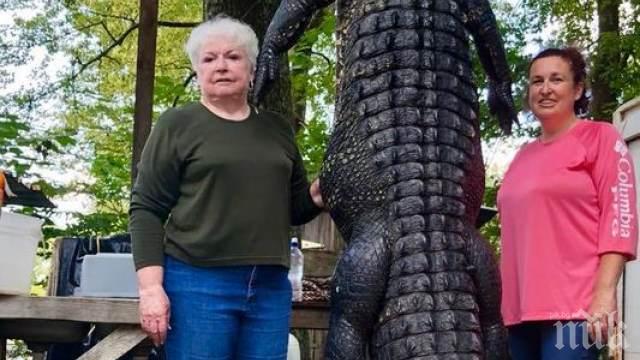 Бойна баба кметица застреля алигатор, изял понито й (ВИДЕО) 