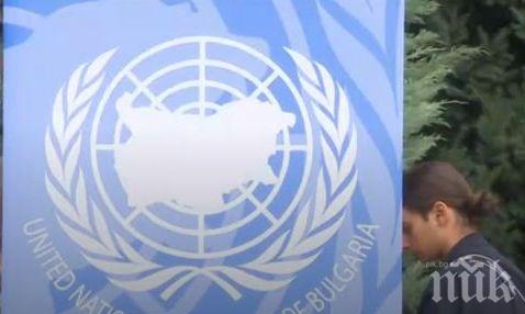 Празнуваме Деня на мира