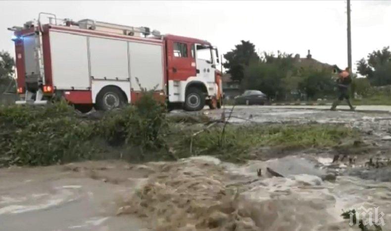 Пожарникари от Белово и Пазарджик извадиха 11 крави и телета от водоем