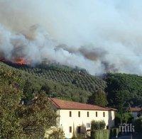 Огромен горски пожар се разгоря в Тоскана
