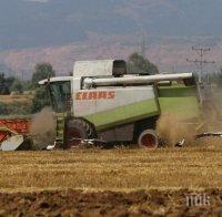 930 земеделци от Русенско имат пропуски в данъчните декларации