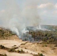 ОГНЕН АД! Страшен пожар гори край Пловдив (ВИДЕО)