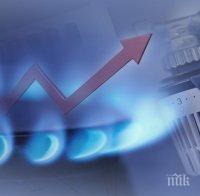 Газът и парното поскъпват от 1 октомври, а от 1 януари синьото гориво скача пак