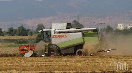 930 земеделци русенско имат пропуски данъчните декларации