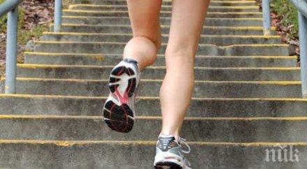 качването стълби полезно всеки