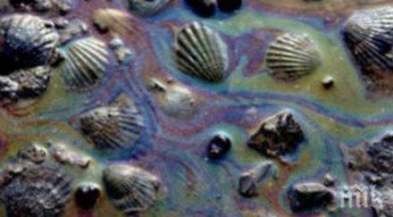 учени предупреждение глобална климатична катастрофа