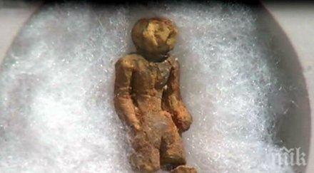 мистерия женска фигура милиони години хвърля недоумение учените 119 години