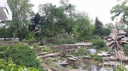 помощ дадоха 300 бона бяла слатина покриване щетите природното бедствие