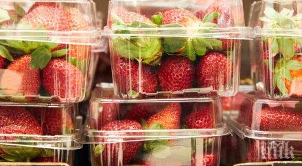 паника нова зеландия продават ягоди игли