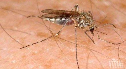 западнонилската треска взе първа жертва нас