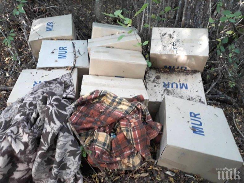 Спипаха трима с контрабандни цигари, пренасяли ги през зелената граница от Гърция към България