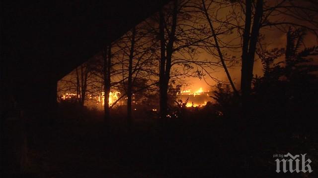 Пожар обхвана 120 дка край благоевградското село Дренково
