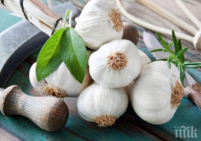 Вижте кои са природните антибиотици, които лекуват тежки болести

